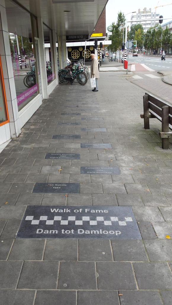 walk of fame damloop