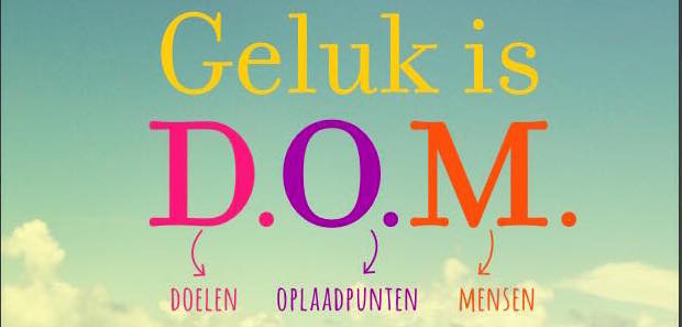 GELUK IS DOM copy 2