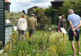 22-juni-tuin-marijke-vd-pol open tuinen westzaan