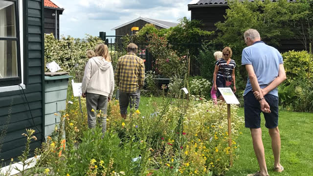 22-juni-tuin-marijke-vd-pol open tuinen westzaan