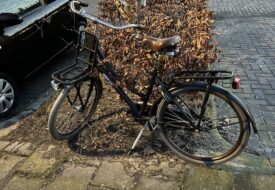 50woorden-fiets-koog-ad-zaan-jan-25-Marion-Kors